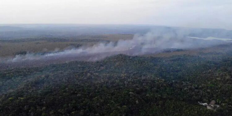 Incêndio na APA Alter do Chão (PA) foi controlado, diz prefeitura