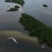 Países consideram insuficientes ações contra crise da biodiversidade