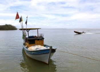 Pesca na foz do Rio Doce volta a ser liberada depois de dez anos