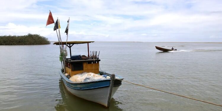 Pesca na foz do Rio Doce volta a ser liberada depois de dez anos