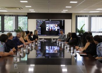 TJ reúne instituições para fortalecer a atuação das Ouvidorias da Mulher em MS